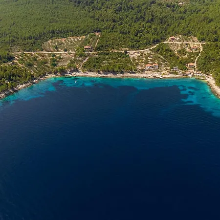 Tatil Evi House Frankica